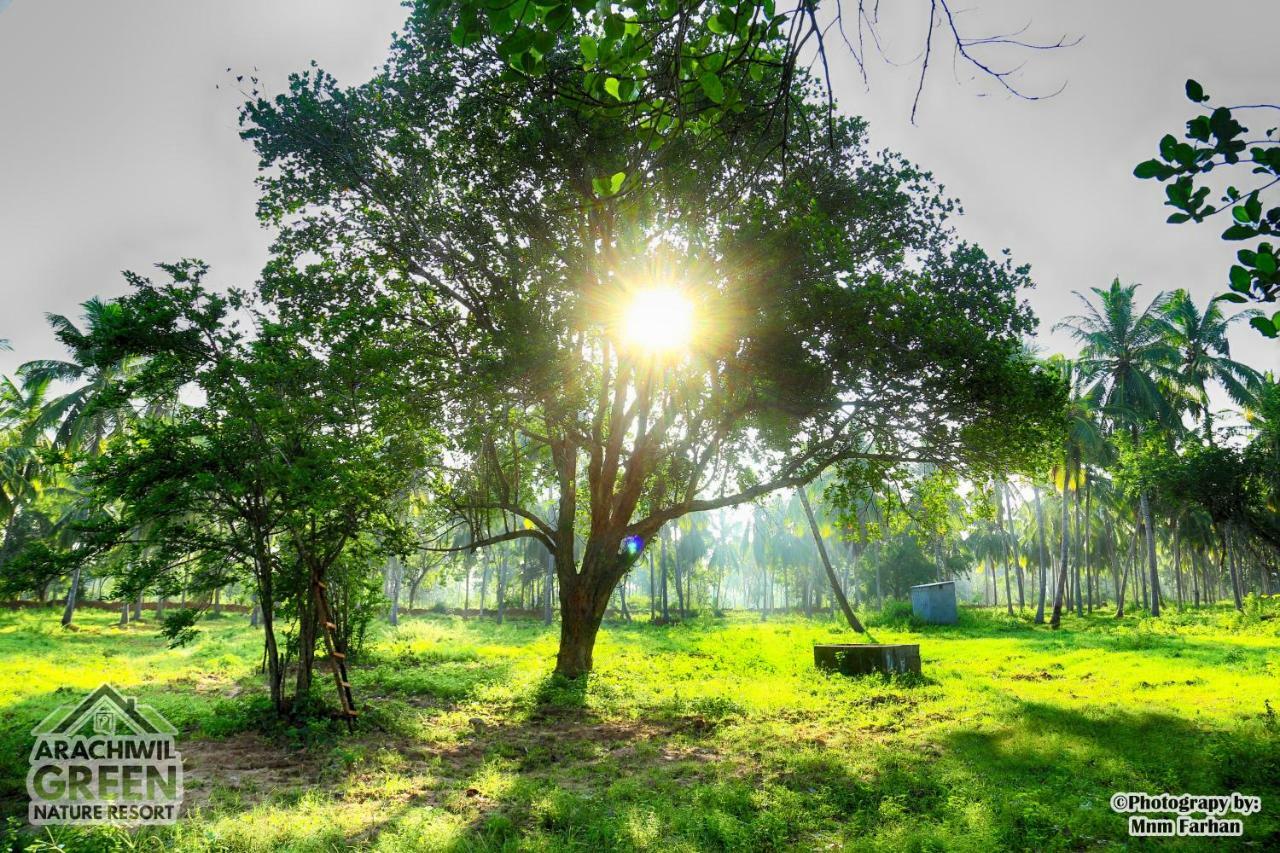 Arachiwil Green Nature Resort Puttalam Esterno foto