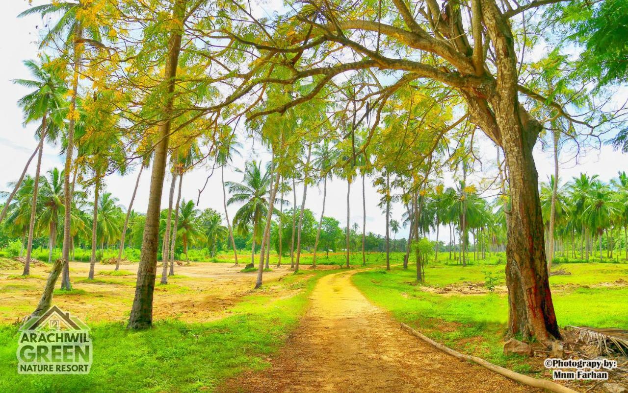 Arachiwil Green Nature Resort Puttalam Esterno foto