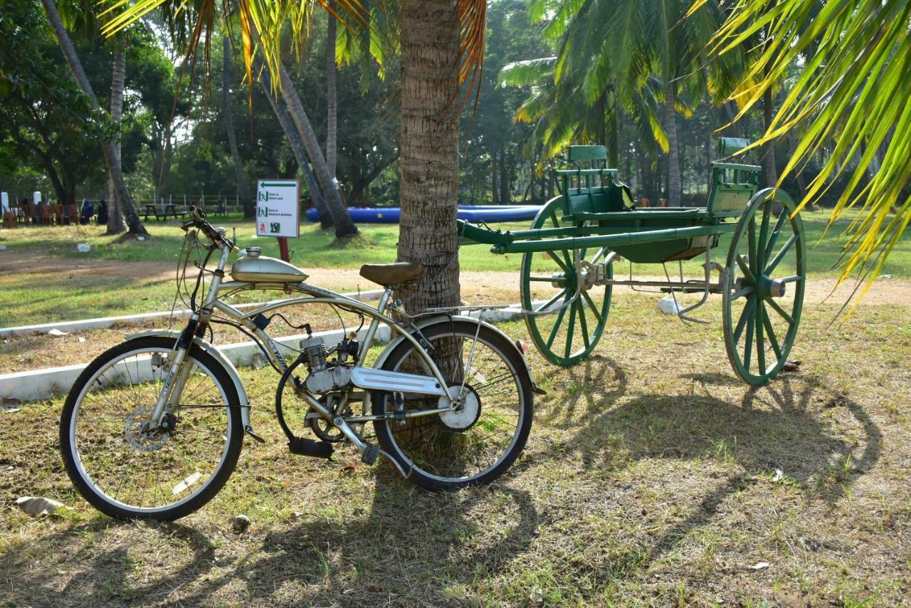 Arachiwil Green Nature Resort Puttalam Esterno foto