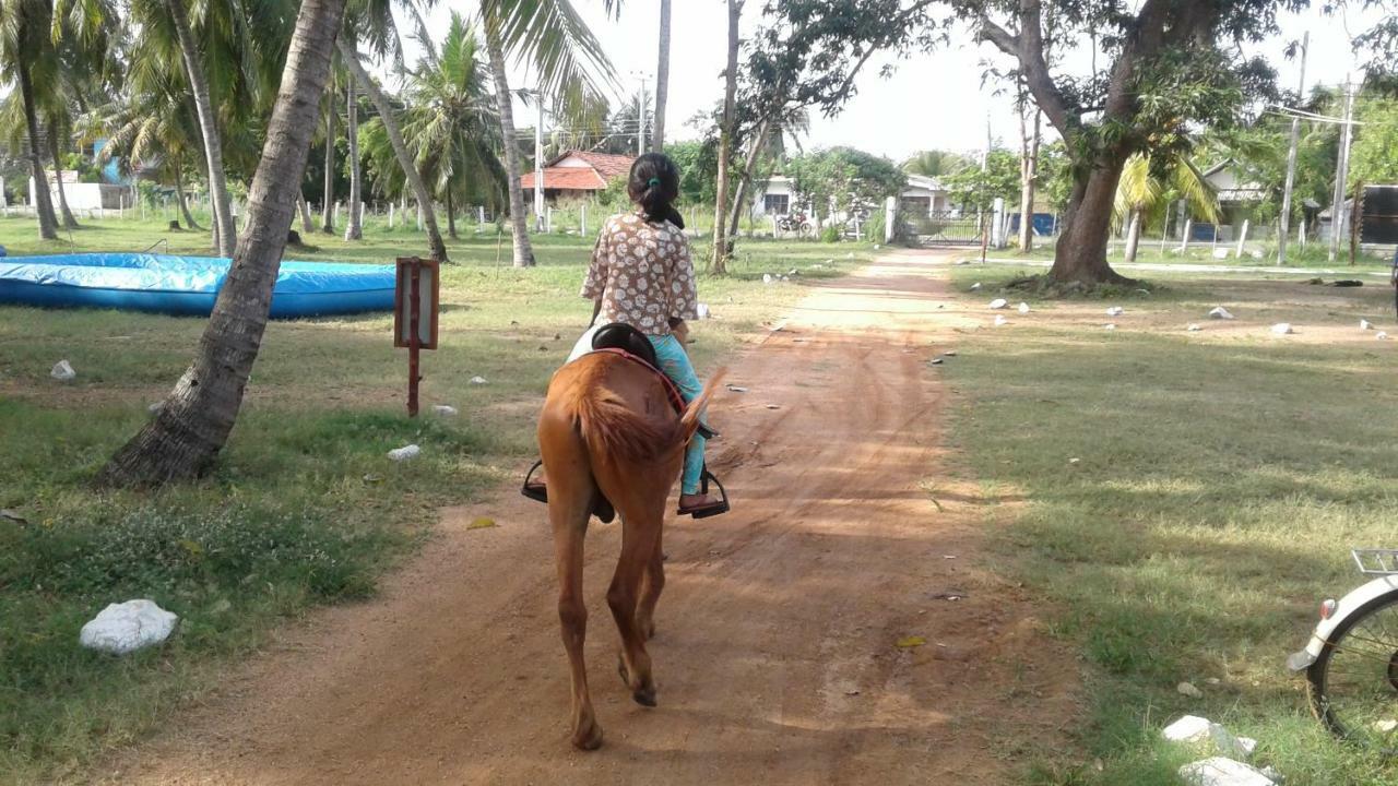 Arachiwil Green Nature Resort Puttalam Esterno foto
