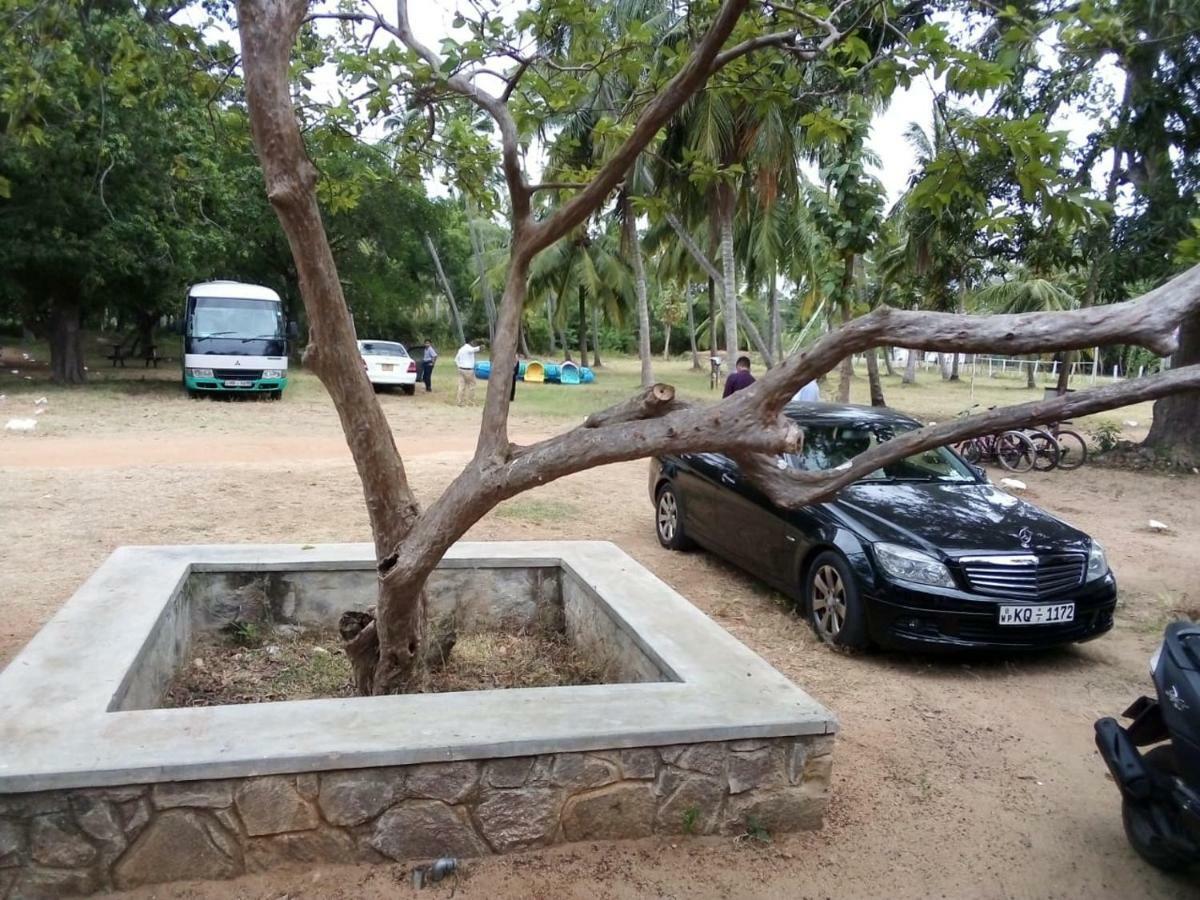Arachiwil Green Nature Resort Puttalam Esterno foto